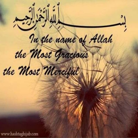 Sociology: Introduction, perspectives, scope, fields and significance