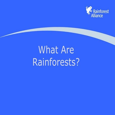 Introduction to Rainforests