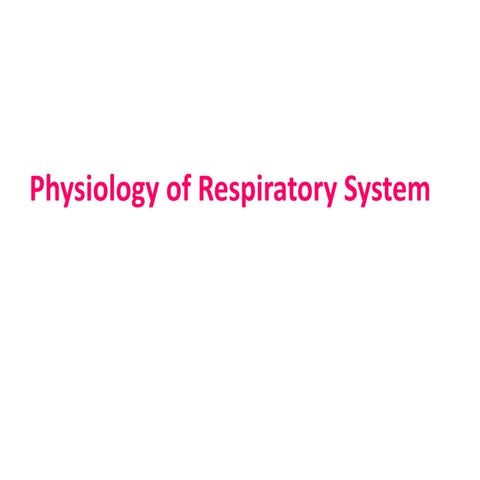 Introduction Respiratory.ppt