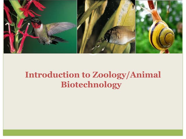 Introduction, Scope and Branches of Zoology.pptx