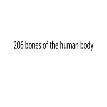 Introduction to 206 bones of the human body