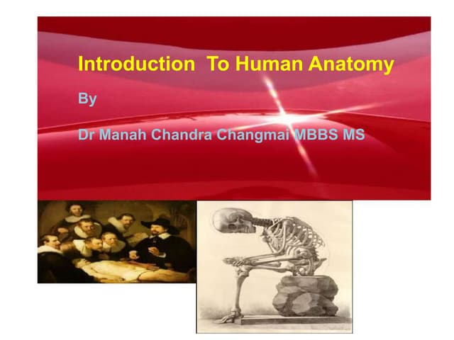 Introduction to anatomy