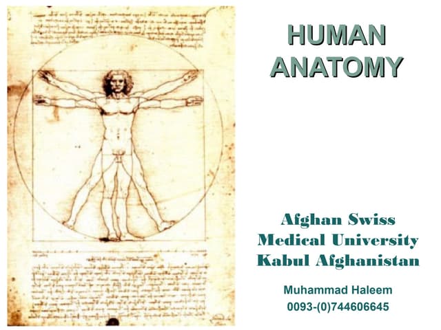Introduction to Anatomy