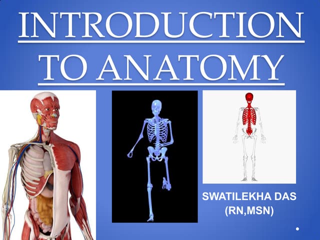 Introduction to anatomy- easy explanation