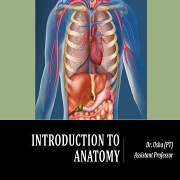 Introduction to anatomy