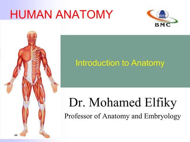 Introduction to anatomy   bmc