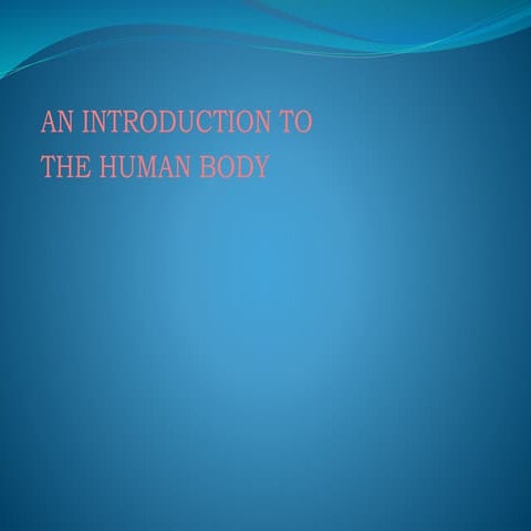 Introduction to Anatomy & Physiology.pptx