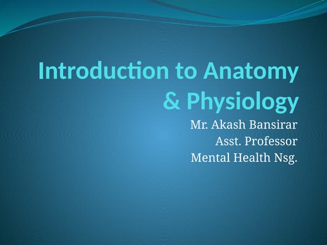 Innerbody | PDF