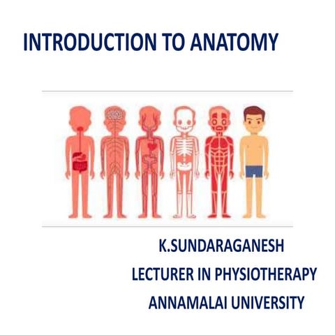 INTRODUCTION TO ANATOMY sun.pptx