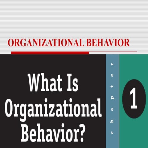Organization behavior | PPTX
