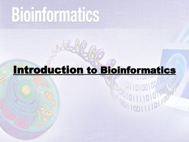 introduction to bioinformatics (1)-2.ppt