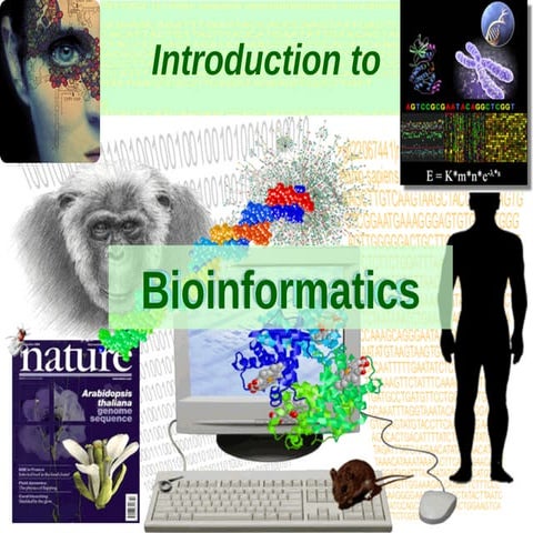 Stochastic gene expression in growing cell populations - Philipp Thomas ...