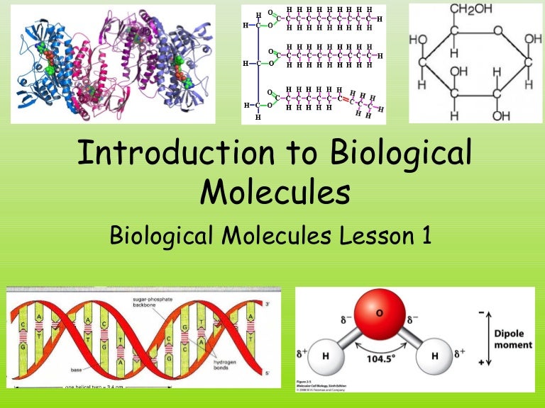 Introduction to biological molecules