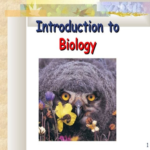 PIR AMIR HUSSAIN NOSHAHI