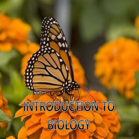 Introduction to biology