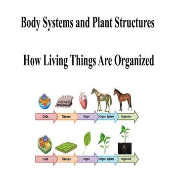 Body Systems and Plant Structures How Living Things Are Organized