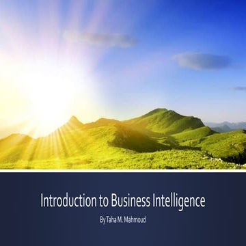 Introduction to business intelligence
