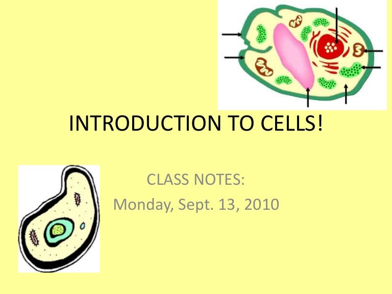 Introduction To Cells Review : Amoeba Sisters video recap: Introduction ...