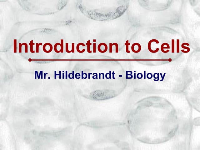 Introduction to Cells