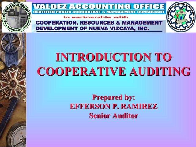 Introduction to cooperative auditing