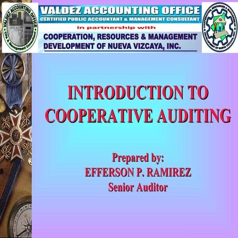 Introduction to cooperative auditing