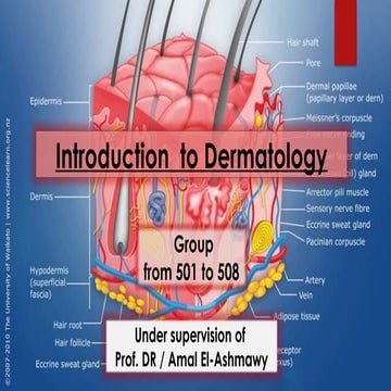 Dermoscopy in Dermatology: Principles, Patterns, and Clinical ...