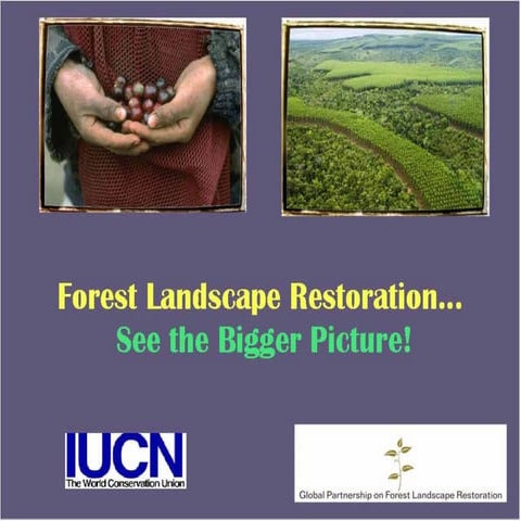 Azerbaijan NbS workshop 2023 Mihaela Dragan Lebovics IUCN ENG.pdf