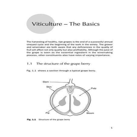 Introduction to grapes