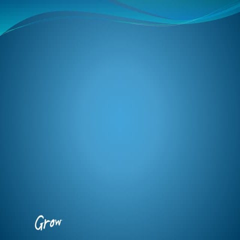 Human Resource Information Systems (Victoria University Australia)