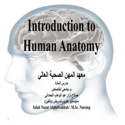 Introduction to human anatomy