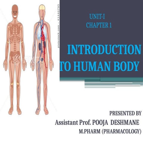 Introduction to human body, B.pharm Unit I
