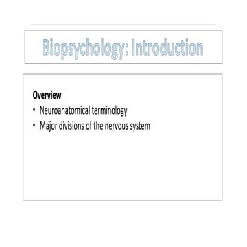 Introduction to Human Nervous System-I.pptx