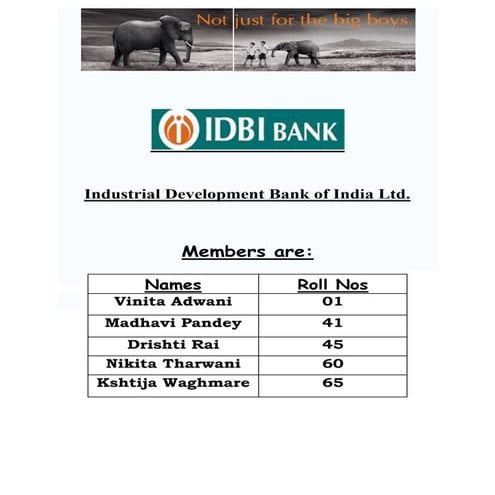 Introduction to idbi bank