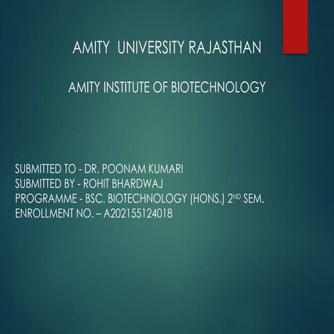 INTRODUCTION TO INTERNET pkjjjjjjjjjj.pptx