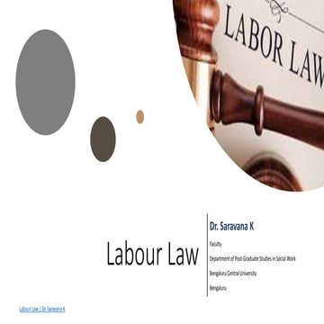 Introduction to Labor.pdf