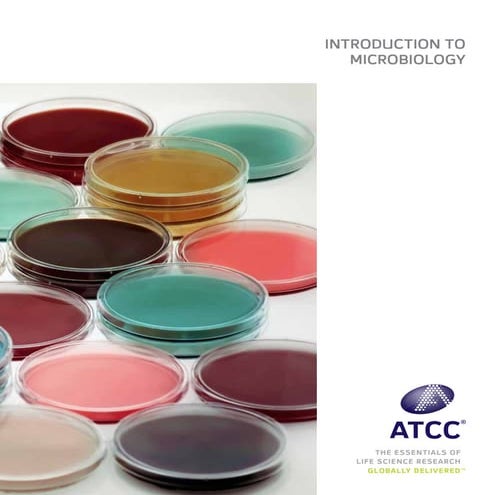 Bacterial Culture Guide.pdf