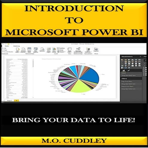 INTRODUCTION TO MICROSOFT POWER BI.pdf