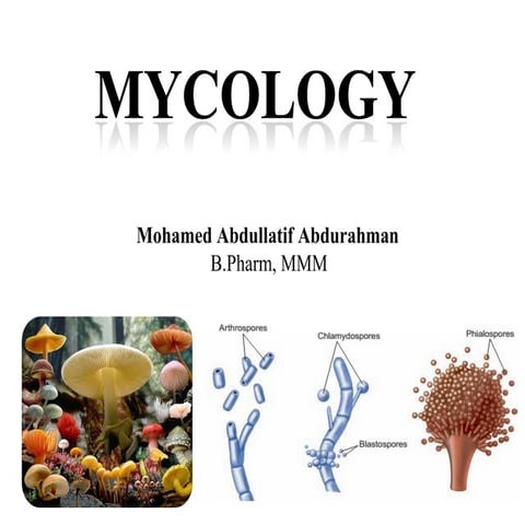 introductiontomycology-170801104515.pdf
