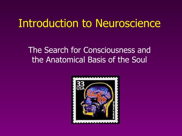Introduction To Neuroscience