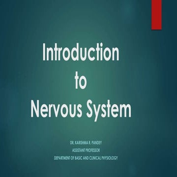 Introduction to ns
