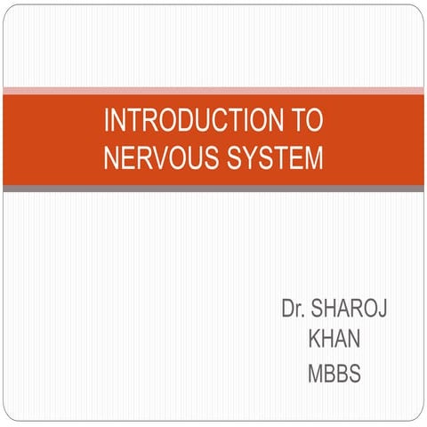 Nervous system