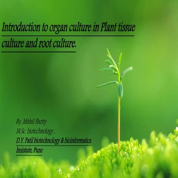 Introduction to organ culture in ptc and root culture