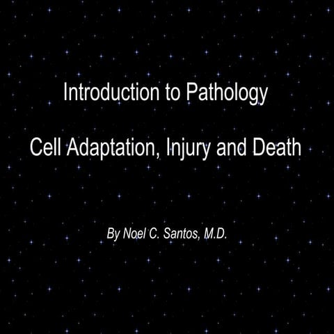 Introduction to pathology