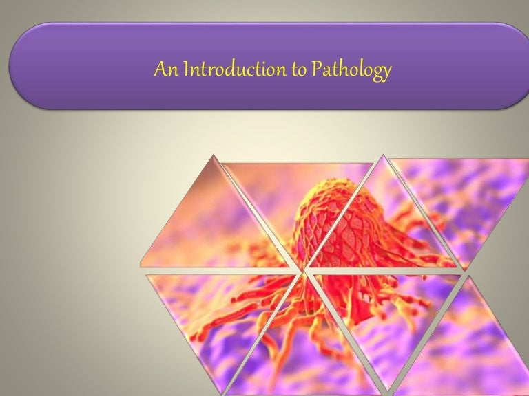 Introduction To Pathology Introduction To Pathology