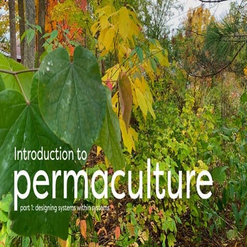Introduction to Permaculture: part 1