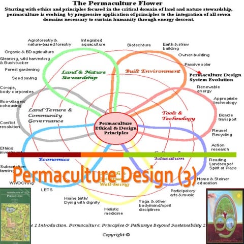 Introduction to permaculture 3