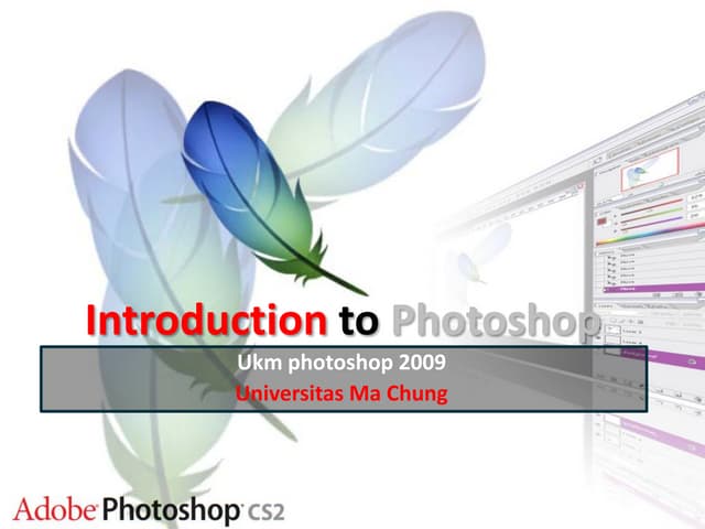Introduction To Photoshop