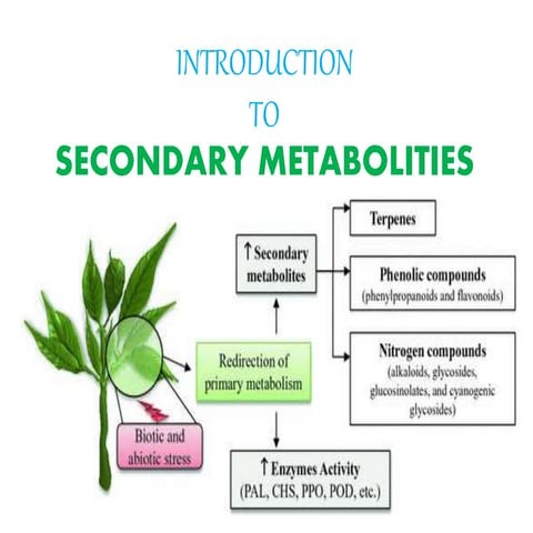 Introduction to plant metabolities