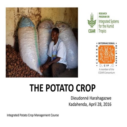 Introduction to potato crop | PDF