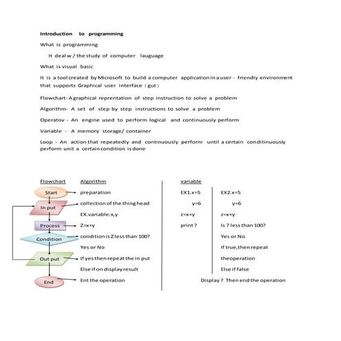 Introduction to programming | PDF